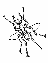 View this Mosquito Coloring Page