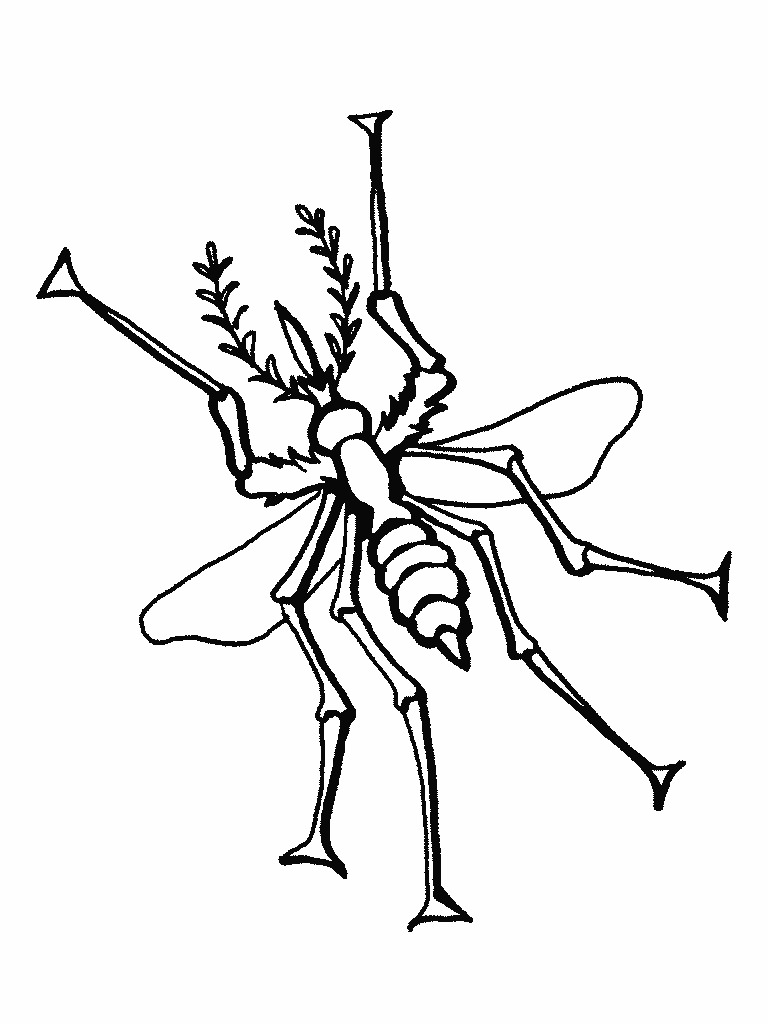 mosquito4