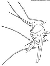 View this Mosquito Coloring Page