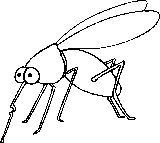 View this Mosquito Coloring Page