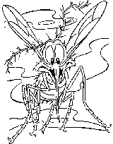 View this Mosquito Coloring Page