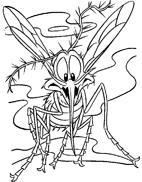 Mosquito Coloring Pages - Kidsuki
