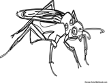 View this Mosquito Coloring Page